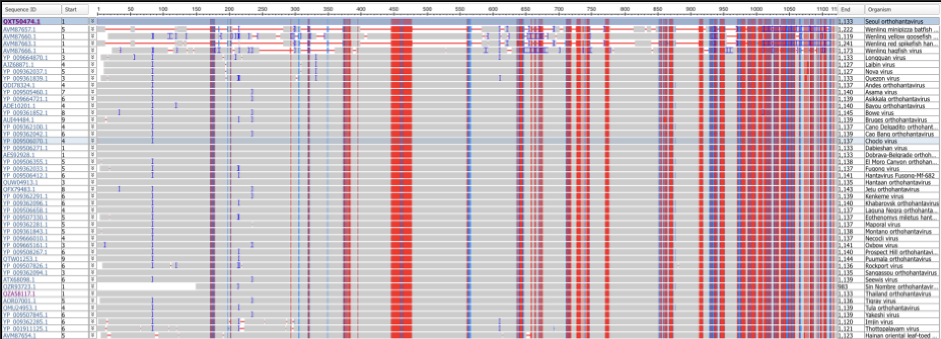 Multiple sequence alignment of hantavirus genomes