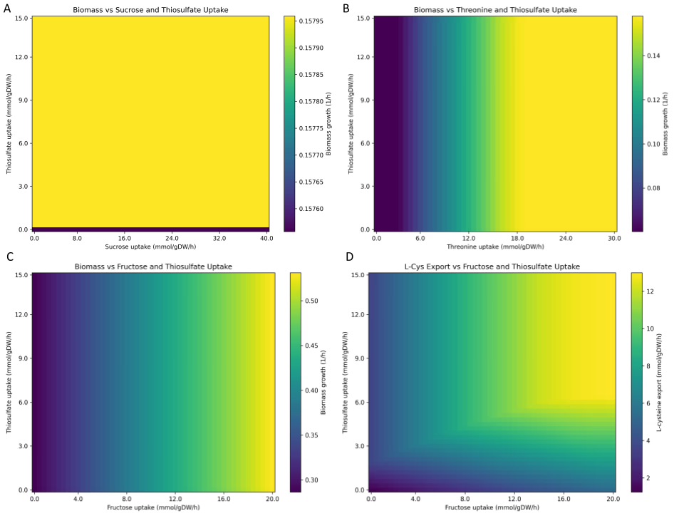 Heatmap of L-cysteine export and biomass growth