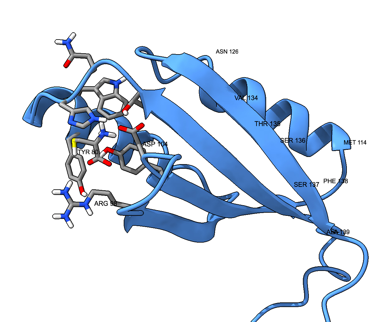 Docking of L-Cysteine to CcdR Monomer