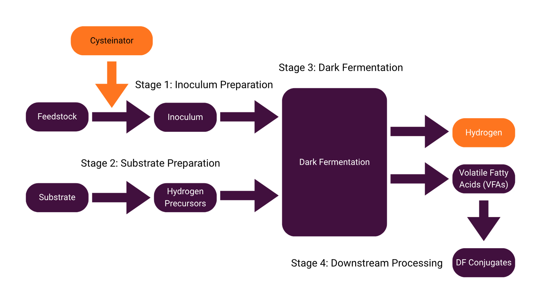 Dark Fermentation + Cysteinator Model