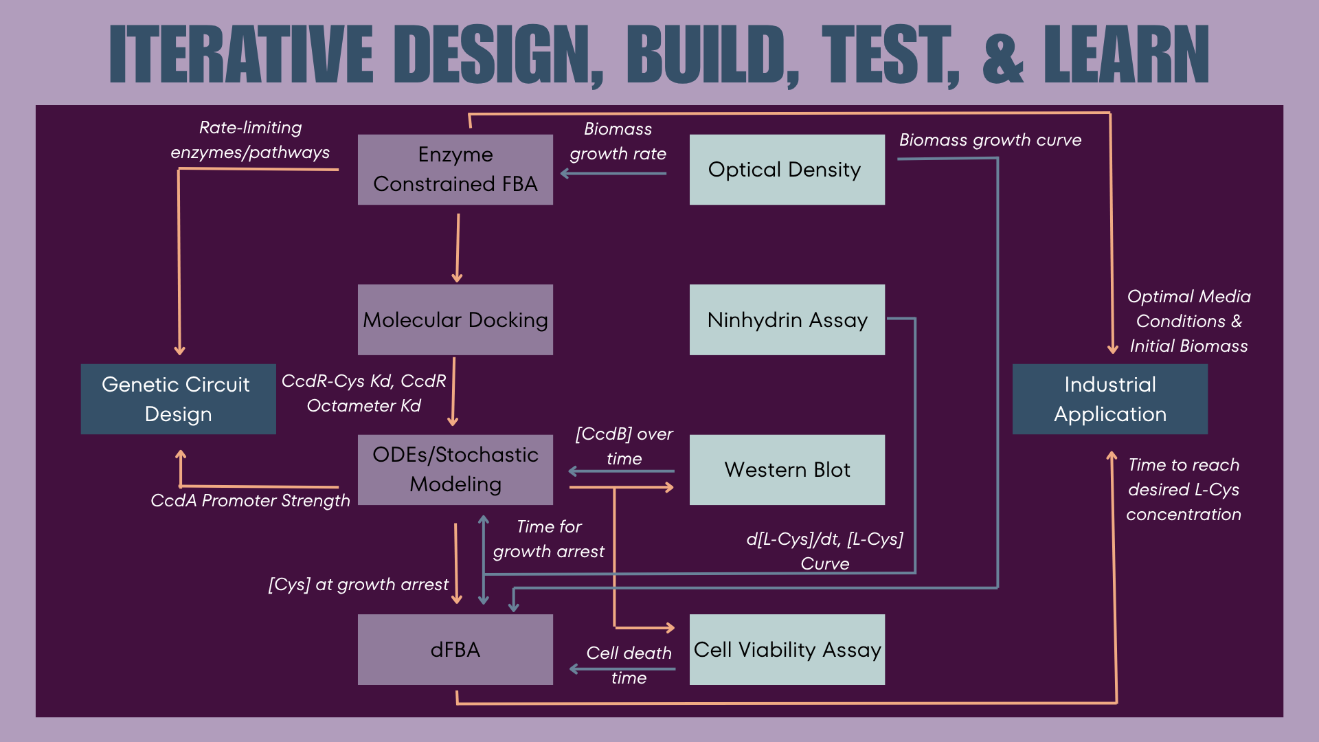 Model-Device Interface